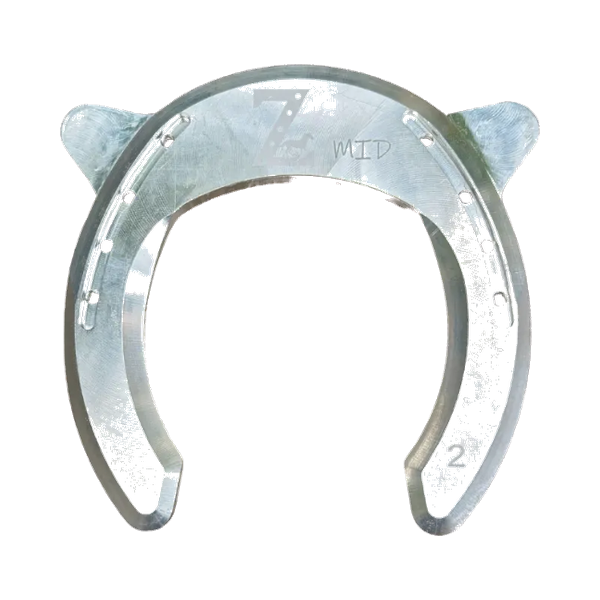 Suspensor Miembro Posterior